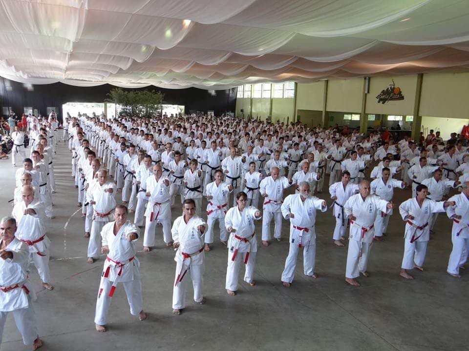 Estudiantes de karate en el dojo practicando